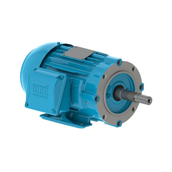 01536ET3V254JP-W22, AC Mtr, Close-coupled Pump, TEFC, 254JP, C-Face w/Footed, 3 Phase, 3600 RPM, 200/400V, 39.6/19.8 FLA, 15 HP