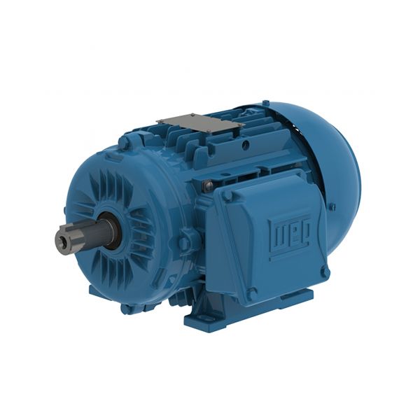 03036ET3Y200L-W22, 3 PH IEC Tru-Metric - TEFC 40 HP, 3600/3000 RPM, 30 kW, 200L NEMA, Footed, 460//380-415/660-690V. Can be fitted with C-Flange kit FLC-IM200, or D-Flange kit FLF-IM200