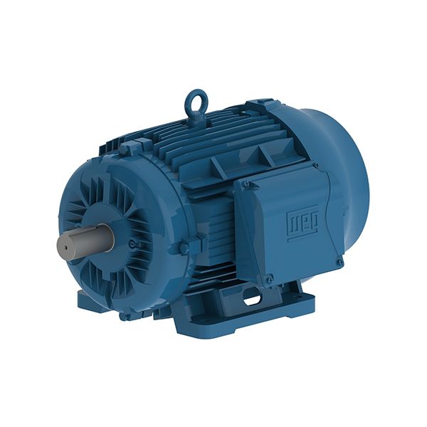 03736ET3Y200L-W22, 3 PH IEC Tru-Metric - TEFC 50 HP, 3600/3000 RPM, 37 kW, 200L NEMA, Footed, 460//380-415/660-690V. Can be fitted with C-Flange kit FLC-IM200, or D-Flange kit FLF-IM200