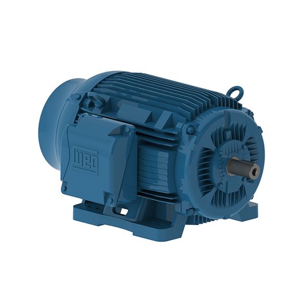 10012ET3ERB444T-W22, 3 PH TEFC®, 100 HP, 1200 RPM, 75 kW, 444/5T NEMA, Footed, with roller bearings, 208-230/460V, 267.6-242/121 FLA