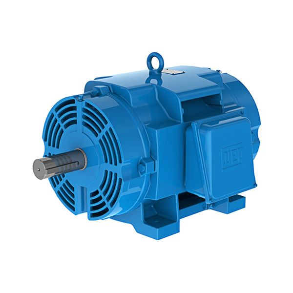 10018OT3G404TS, AC Mtr, 100HP, 1800RPM, 404TS, 460V, 113 FLA, 3PH - ODP (IP21/IP23), Footed, NORMAL STOCK