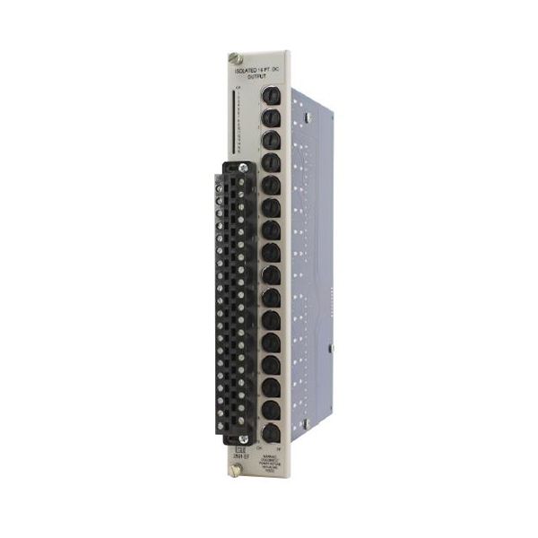2591-EF, 16-Point Isolated 11-146 VDC Output with Front Panel