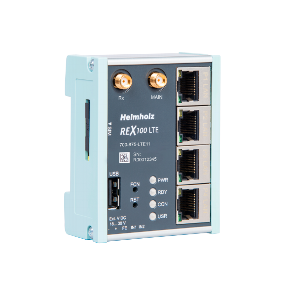 REX 100 LTE, Ethernet-Router